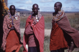 非洲土著：非洲最原始的居民