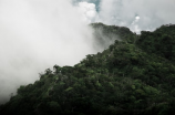热带雨林气候特点